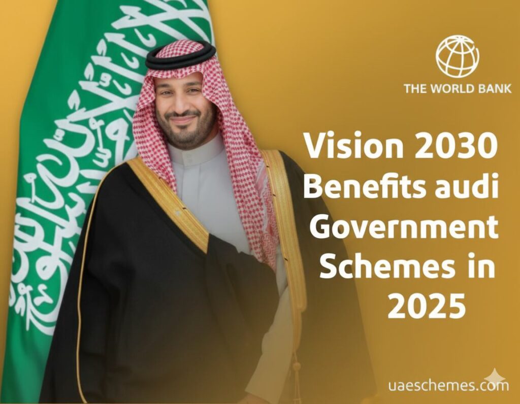 Vision 2030 Benefits and Saudi Government Schemes in 2025
